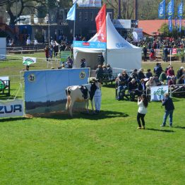 Expo Prado 2017 - Día 10 (15)