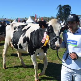 Expo Prado 2017 - Día 10 (16)