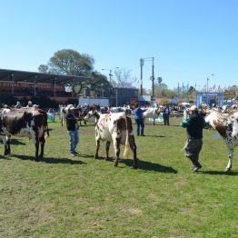 Expo Prado 2017 - Día 10 (17)