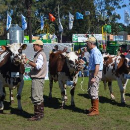 Expo Prado 2017 - Día 10 (19)