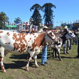 Expo Prado 2017 - Día 10 (20)