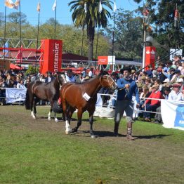 Expo Prado 2017 - Día 10 (22)