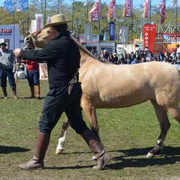 Expo Prado 2017 - Día 10 (23)