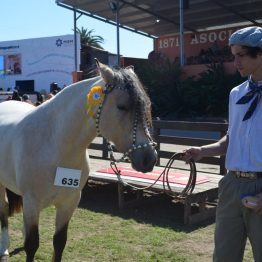 Expo Prado 2017 - Día 10 (25)