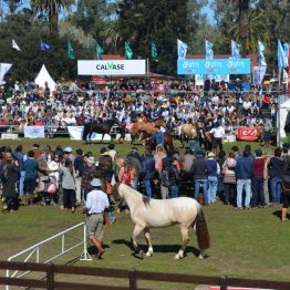 Expo Prado 2017 - Día 10 (26)