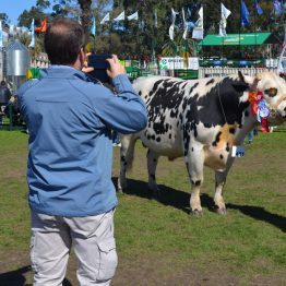 Expo Prado 2017 - Día 10 (27)