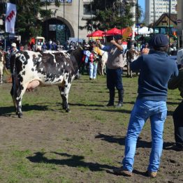 Expo Prado 2017 - Día 10 (29)