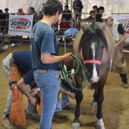 Expo Prado 2017 - Día 10 (32)