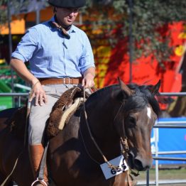 Expo Prado 2017 - Día 10 (45)