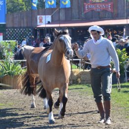 Expo Prado 2017 - Día 10 (46)