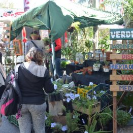 Expo Prado 2017 - Día 10 (5)