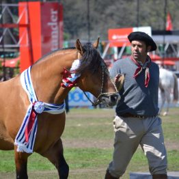 Expo Prado 2017 - Día 11 (104)