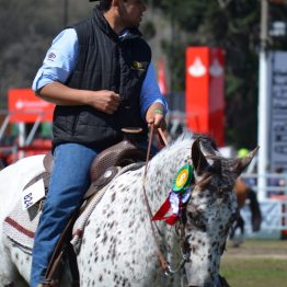 Expo Prado 2017 - Día 11 (109)