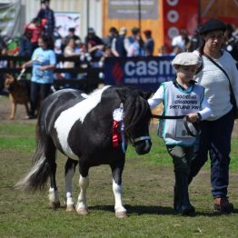 Expo Prado 2017 - Día 11 (112)