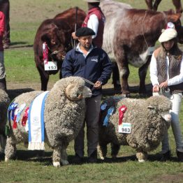 Expo Prado 2017 - Día 11 (157)