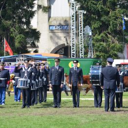 Expo Prado 2017 - Día 11 (18)