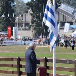 Expo Prado 2017 - Día 11 (20)