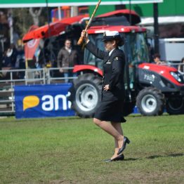 Expo Prado 2017 - Día 11 (3)