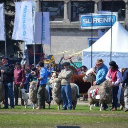 Expo Prado 2017 - Día 11 (35)