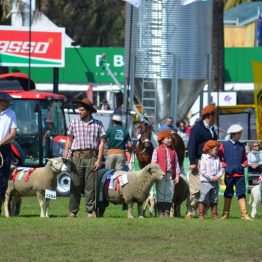 Expo Prado 2017 - Día 11 (42)