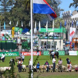 Expo Prado 2017 - Día 11 (52)