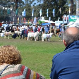 Expo Prado 2017 - Día 11 (55)