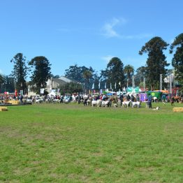 Expo Prado 2017 - Día 11 (62)