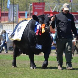 Expo Prado 2017 - Día 11 (70)