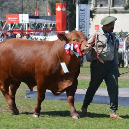 Expo Prado 2017 - Día 11 (77)