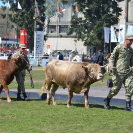 Expo Prado 2017 - Día 11 (86)