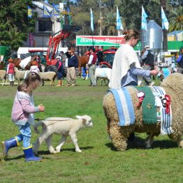 Expo Prado 2017 - Día 11 (88)