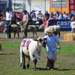 Expo Prado 2017 - Día 11 (96)