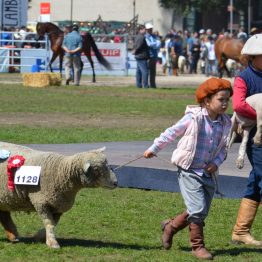 Expo Prado 2017 - Día 11 (98)