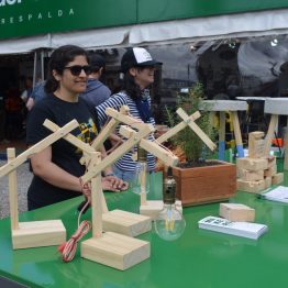 Expo Prado 2017 - Día 12 (49)