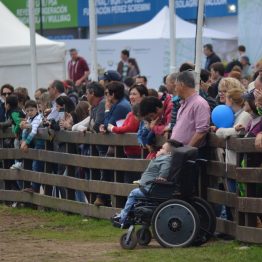 Expo Prado 2017 - Día 12 (52)