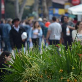 Expo Prado 2017 - Día 12 (63)