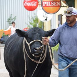 Expo Prado 2017 - Día 1_006