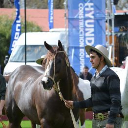 Expo Prado 2017 - Día 1_026