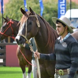 Expo Prado 2017 - Día 1_028