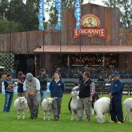 Expo Prado 2017 - Día 1_041