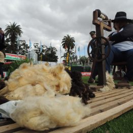 Expo Prado 2017 - Día 1_109