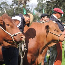 Expo Prado 2017 - Día 1_110