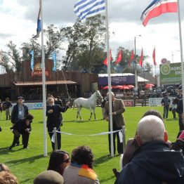 Expo Prado 2017 - Día 1_114