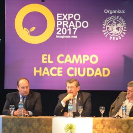 Expo Prado - Día 2 (2)