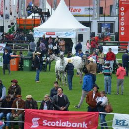 Expo Prado - Día 3 (21)