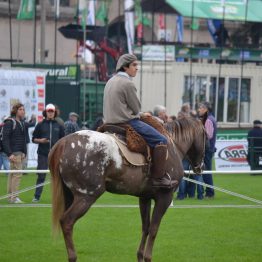 Expo Prado - Día 3 (42)