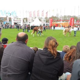 Expo Prado - Día 3 (52)