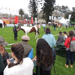 Expo Prado - Día 3 (54)