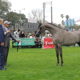 Expo Prado - Día 3 (58)