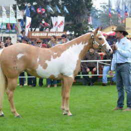 Expo Prado - Día 3 (6)